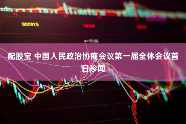 配股宝 中国人民政治协商会议第一届全体会议首日珍闻