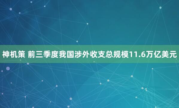 神机策 前三季度我国涉外收支总规模11.6万亿美元
