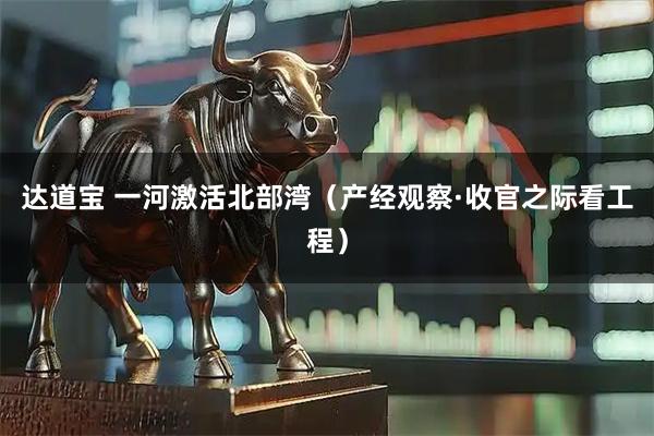 达道宝 一河激活北部湾(产经观察·收官之际看工程)